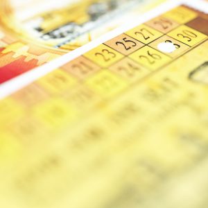 Ticket to Ride Sleeves